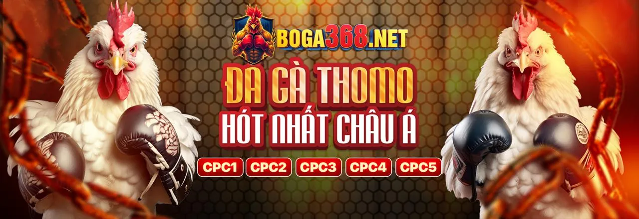 Nền tảng cá cược trực tuyến ga139